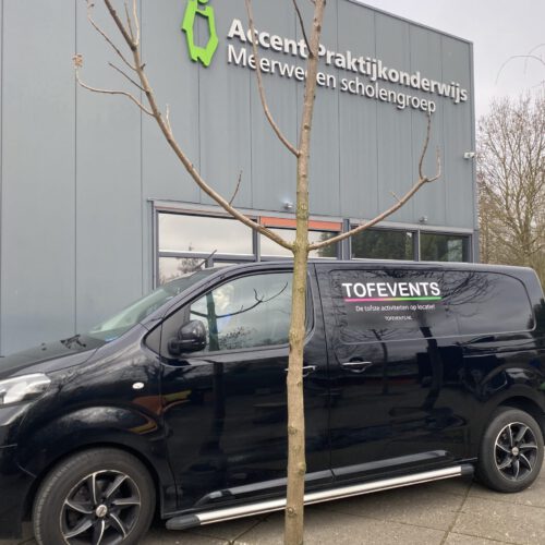 Foto 02-02-2024 11 40 33